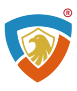 CyberSafeHaven Consulting