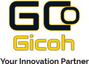 Gicoh Secondary Sales Management Software