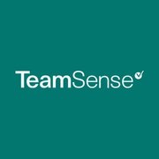 TeamSense Logo