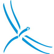 Libelle BusinessShadow Logo