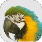 MACAW Agency Management System Logo