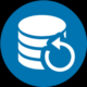 Perfect Backup Logo