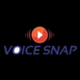 Voice Snap Messenger logo