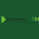 Dynamic DSM Logo
