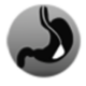 ScopEndo Logo