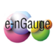 e-nGauge logo