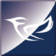 Kn{owl}edge Logo