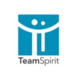 TeamSpirit Logo