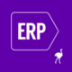 Ema ERP Logo