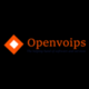 OV500 Logo
