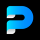 Practmatic Logo