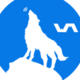 Funnel Wolf Logo