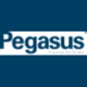 Pegasus.net Logo
