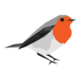 Lead Robin