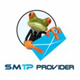 SMTPProvider Logo