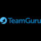 TeamGuru logo