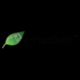 e-PlanREVIEW Logo