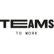Teamstowork Software Logo