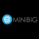 Minibig Distribution Application Logo