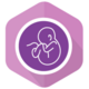 FertilityEHR Logo
