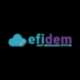 Efisend Logo
