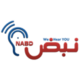 NABD System Logo