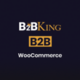 B2BKing Logo