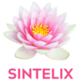 Sintelix Logo