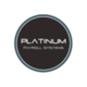 PLATINUM Payroll Logo