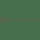 ForceFlow Logo