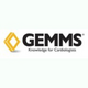GEMMS ONE Logo