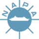 NAPA Fleet Intelligence Logo