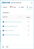 Screenshot of Saved Assets in the chrome extension