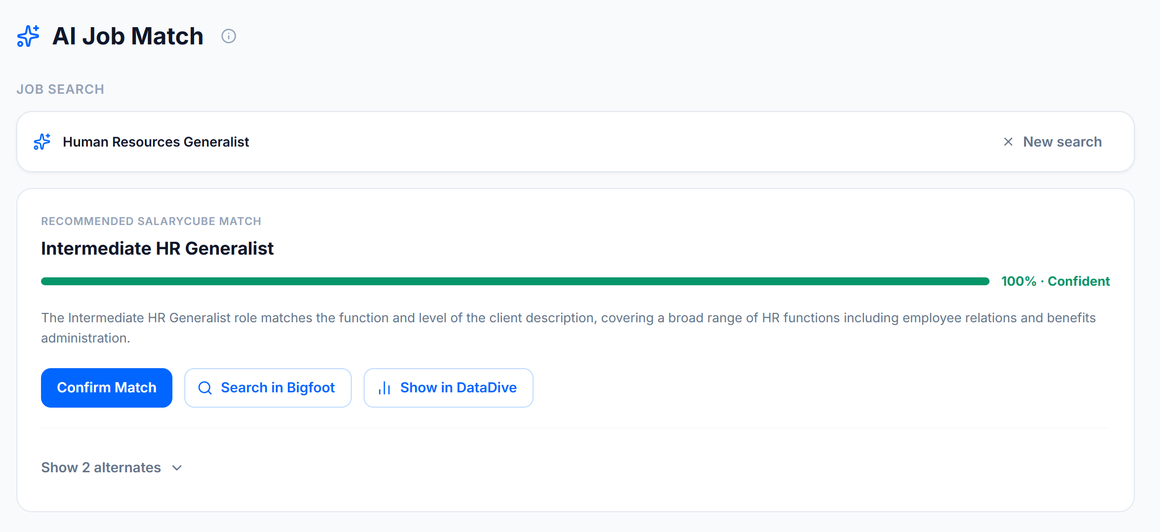 Screenshot of AI Job Match - paste a job description, get a benchmark match in seconds