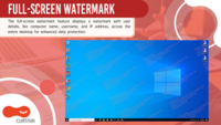 Screenshot of Full-Screen Watermark