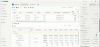 Screenshot of Revenue Planning