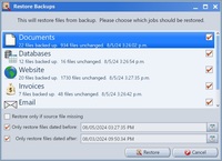 Screenshot of the event files, which when missing or damaged, Mirror Backup lets users choose which sets of files need to be restored, and what date and time to roll back to.