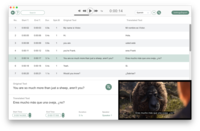 Screenshot of Automatic Subtitle to Foreign Languages in Just Minutes