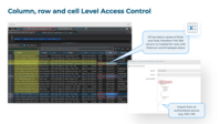 Screenshot of how SecuPi enforces fine-grained access control at the column, row, and cell level, ensuring users only see the data they are authorized to view. Sensitive fields can be masked, filtered, or hidden in real time based on user identity, role, and context.