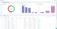 Screenshot of Endpoint Vulnerability
