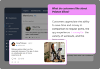 Screenshot of Insights Copilot