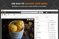 Screenshot of the centralized management of files like images, PDFs or videos. 4ALLPORTAL offers an overview of individual files or collections and supports automated workflows
