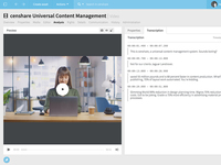 Screenshot of DAM - Video AI Transcription
