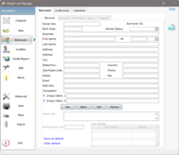 Screenshot of Borrower information.