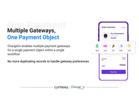 Screenshot of the available multiple payment gateways