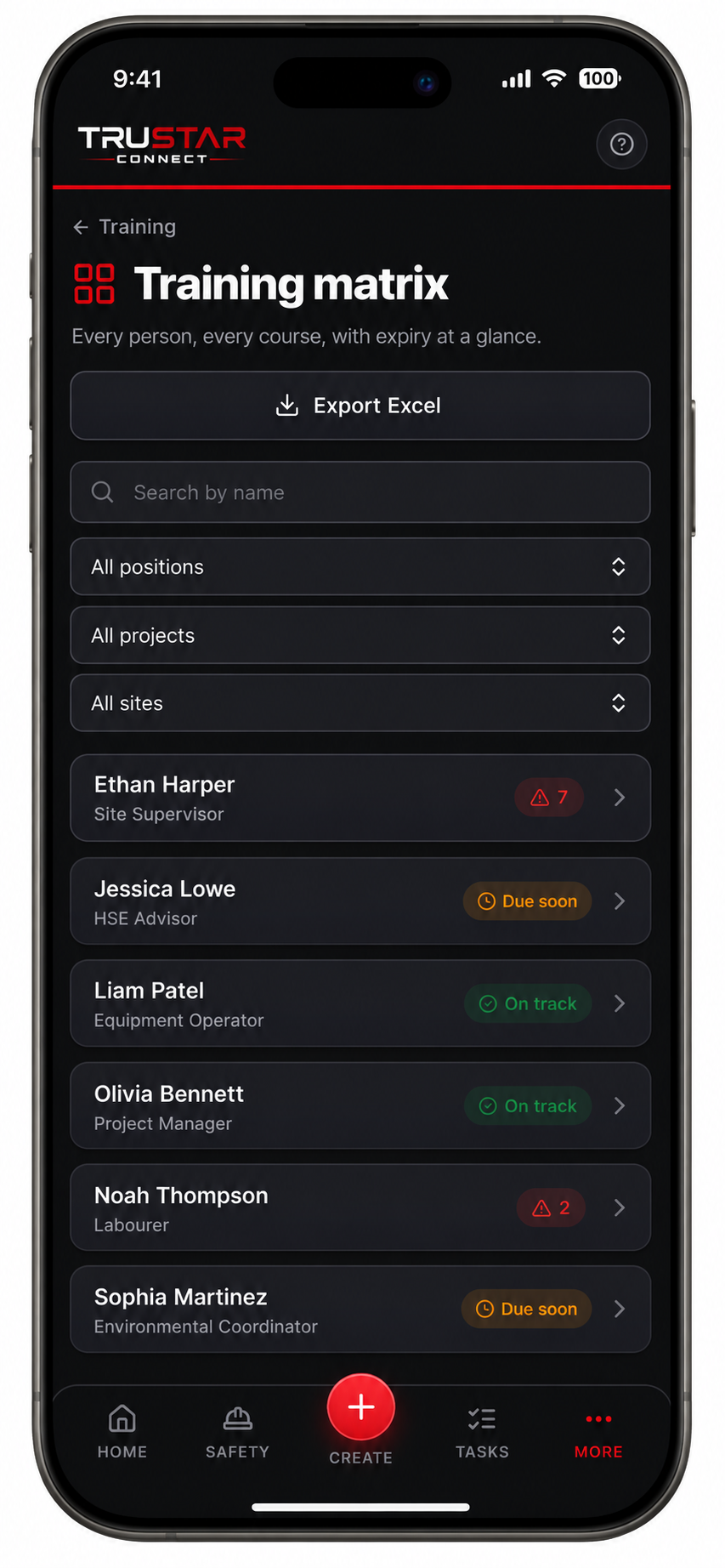 Screenshot of Digital training matrix.