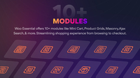 Screenshot of WooCommerce Shop Builder Modules