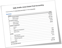 Screenshot of Final Accounting (Customized, and Automated)