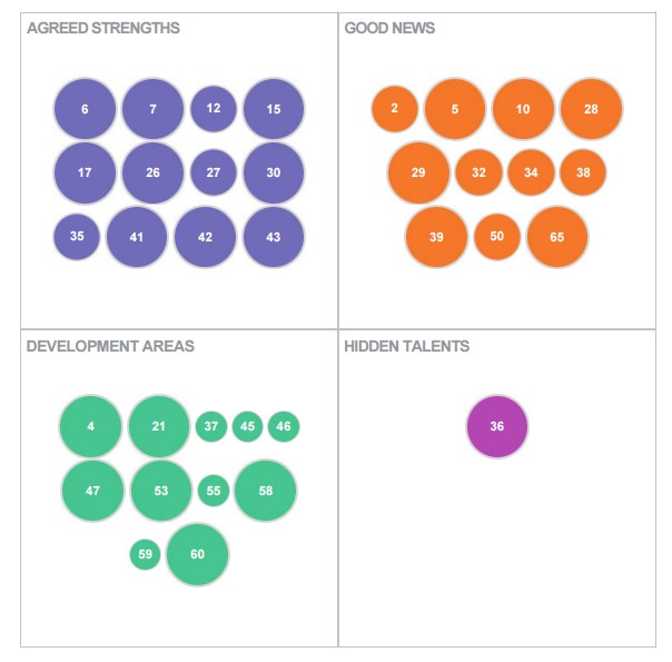 Screenshot of Strengths, weaknesses, blind spots in terms of behaviours