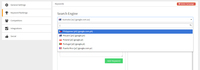 Screenshot of Preferred Search Engine - Keyword Tracking